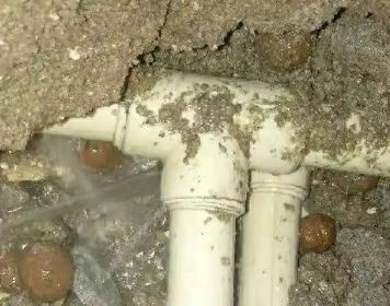 德保测漏水多少钱