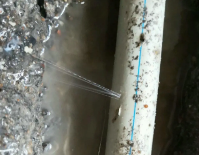 德保测漏水哪家好