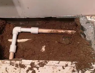 德保测漏水哪家好