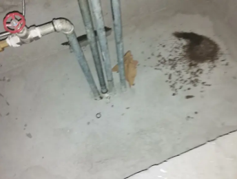 德保卫生间测漏水价格明细