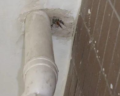 德保漏水检测哪家好